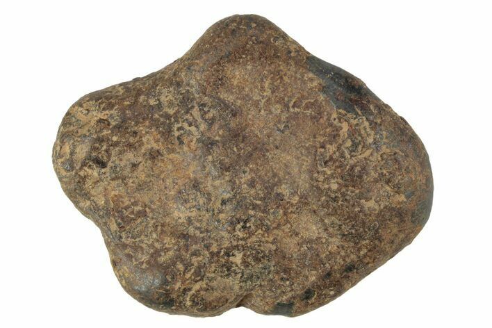 Agoudal Iron Meteorite ( g) - Morocco #245608